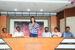 5ws-Movie-First-Look-Launch-7