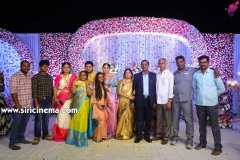 Actor-koushik-wedding-Reception-12