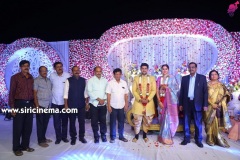 Actor-koushik-wedding-Reception-13