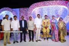 Actor-koushik-wedding-Reception-17