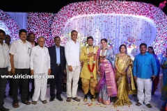 Actor-koushik-wedding-Reception-20