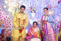 Actor-koushik-wedding-Reception-6