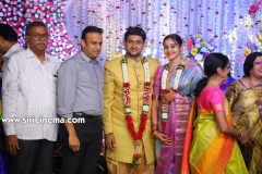 Actor-koushik-wedding-Reception-7