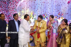 Actor-koushik-wedding-Reception-8