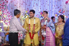 Actor-koushik-wedding-Reception-9