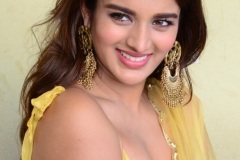 Agerwal-Nidhhi-New-Photos-15