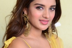 Agerwal-Nidhhi-New-Photos-18