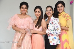 Anukunnadhi-Okkati-Ayyindhi-Okkati-press-meet-4