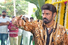 Balakrishna-Boyapati-Srinu-new-movie-opening-16