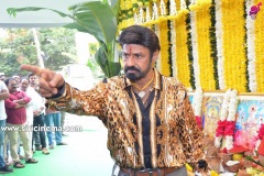 Balakrishna-Boyapati-Srinu-new-movie-opening-18