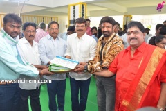 Balakrishna-Boyapati-Srinu-new-movie-opening-8