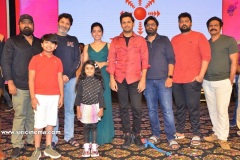 Bheeshma-pre-release-event-13