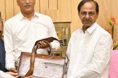 Budget-of-Telangana-state-2022-23-12