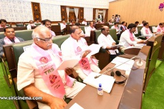 Budget-of-Telangana-state-2022-23-2