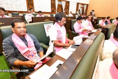 Budget-of-Telangana-state-2022-23-3