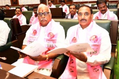 Budget-of-Telangana-state-2022-23-4