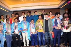 Chiranjeevi-launches-MAA-Diary-2020-7