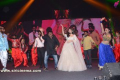 Dhamaka-success-Event-New-Photos-14