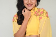 Dhanya-Balakrishna-new-photos-5