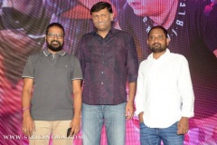 Gang-Leader-pre-release-function-Hyderabad-8