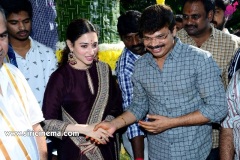 Gopichand-New-Movie-Opening-8