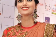 Hamsa-Nandini-New-Photos-12