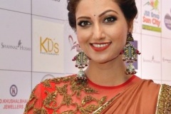 Hamsa-Nandini-New-Photos-14