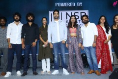 Hit-2-Movie-Success-Event-Photos-17