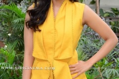 Kalyani-Priyadarshan-New-Photos-6