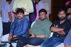 Kobbari-Matta-pre-release-function-7