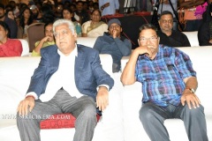 Kousalya-Krishnamurthy-pre-release-Event-Photos-14