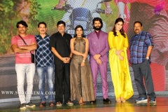 Kousalya-Krishnamurthy-pre-release-Event-Photos-27