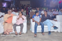 Krishna-Rao-Supermarket-pre-release-Event-11