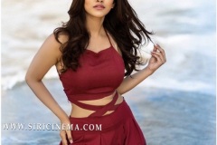 Latest-stills-Nabha-Natesh-3