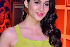 Lavanya-Tripathi-New-Photos-2