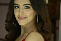 Malavika-sharma-New-Photos-13