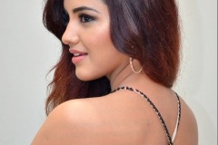 Malvika-Sharma-New-Photos-17