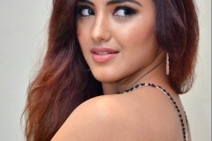 Malvika-Sharma-New-Photos-18