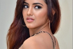 Malvika-Sharma-New-Photos-7