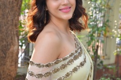 Mehrene-Kaur-Pirzada-New-Stills-19