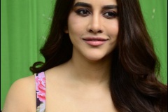 Nabha-Natesh-interview-Photos-5