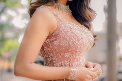 Nabha-Natesh-latest-Photos-5