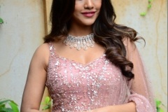 Nabha-Natesh-New-Photos-3