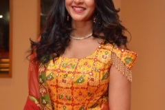 Nakshatra-new-photos-1