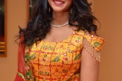 Nakshatra-new-photos-2