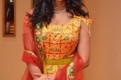 Nakshatra-new-photos-4