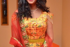 Nakshatra-new-photos-9