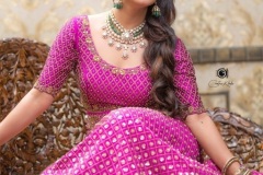 Nandini-Rai-latest-Photos-19