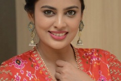 Nandita-Swetha-New-Photos-17