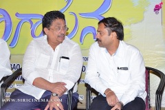 Nenu-Naa-Nagarjuna-Audio-launch-1